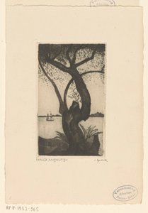 Olivenbaum auf Korsika von Lodewijk Schelfhout (signed by artist)
