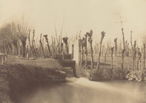 Landschaft, Montebello