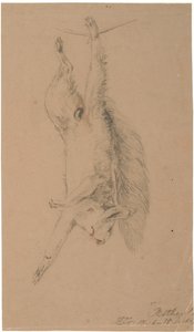 Ein aufgehängtes totes Eichhörnchen von Lorenz Frølich