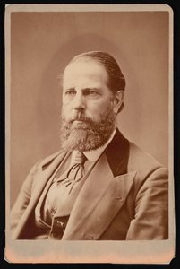Porträt von William Hayden English 1822-1896, vor 1876