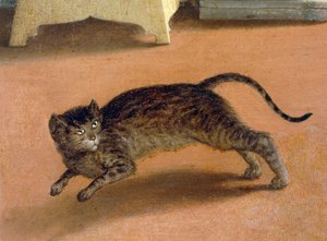 Erschrockene Katze (Detail)