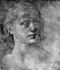 Der Kopf einer jungen Frau, 15. oder 16. Jahrhundert 1930