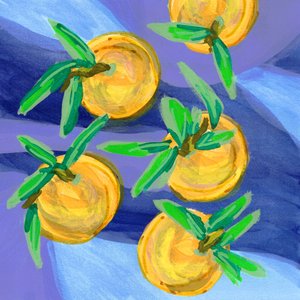 Frische Zitrusorangen von Lori Ann Folz