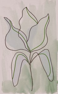 Minimalistische Botanische Umrisse