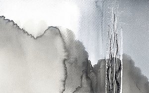 Nebliger Monochromer Wald