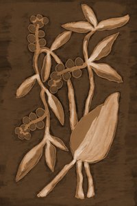 Organische Sepia Botanicals