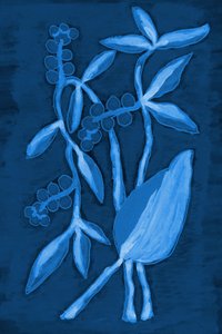 Samenkapsel 1 Tiefblau