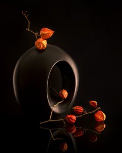 Orange Botanicals Schwarze Vase