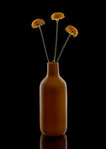 Warme Blumen Braune Vase von Louie Luo