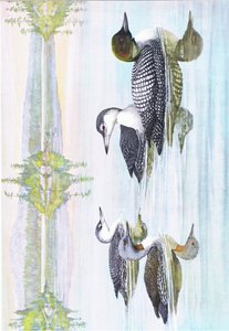 Illustration aus Die Naturgeschichte der amerikanischen Vögel von Ost- und Zentral-Nordamerika, veröffentlicht von Bramhall House, ca. 1970