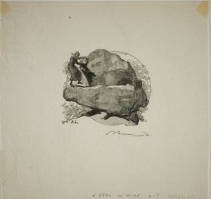Der zitternde Felsen