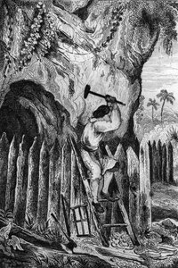 Ich pflanzte zehn Reihen Palisaden. Gravur nach der Zeichnung von M. de Sainson für das Buch von Daniel Defoe „Robinson Crusoe“ französische Ausgabe von 1837. von Louis Auguste de Sainson