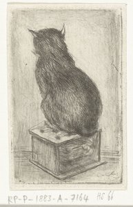Katze sitzt auf einem Hocker