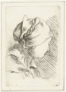 Studienblatt mit einem Frauenkopf mit Kopftuch von Louis Bernard Coclers