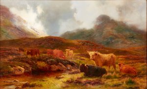 Moorland bei Clachaig, Glencoe