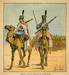 Während des Ägyptenfeldzugs schuf Napoleon Bonaparte Kamelregimenter, aus dem Buch „The Memorial of Saint Helene“ von Graf Emmanuel de Las Cases