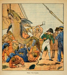 Illustration aus dem Buch „The Memorial of St. Helene“ von Graf Emmanuel de Las Cases: Kaiser Napoleon beobachtet den Fang eines Hais an Bord der Northumberland