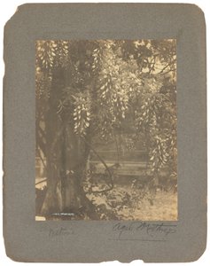 Tiffany Studios, ca. 1898-1920 von Louis Comfort Tiffany