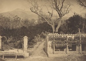 Landwirtschaftliche Szene mit Bergen, 1850er Jahre