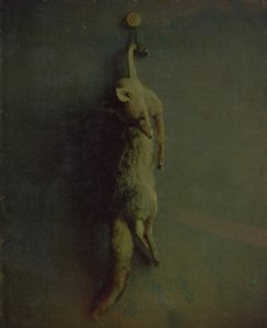 Fuchs von Louis Ducos du Hauron