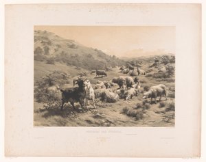 Hirtin mit Ziegen und Schafen in den Pyrenäen