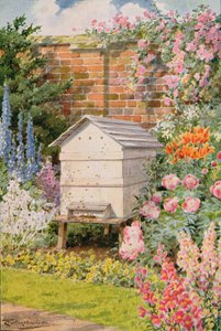 Ein Bienenstock, Illustration aus 