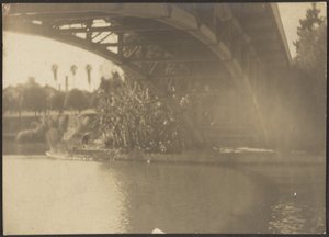 Brücke über den Fluss