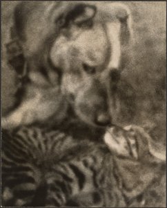 Katze und Hund von Louis Fleckenstein