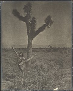 Tänzerin am Joshua Tree von Louis Fleckenstein