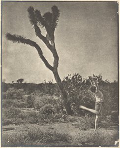 [Tänzerin am Joshua Tree] von Louis Fleckenstein