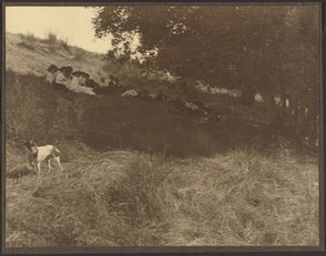 Gruppenporträt, Rast im Feld mit Hund von Louis Fleckenstein