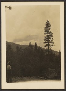 Idyllwild