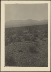 [Landschaft]