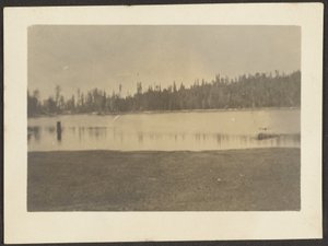 Landschaft von Louis Fleckenstein