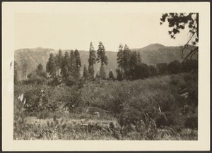 [Landschaft] von Louis Fleckenstein