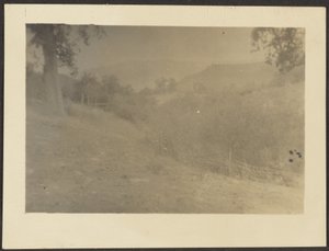 [Landschaft]