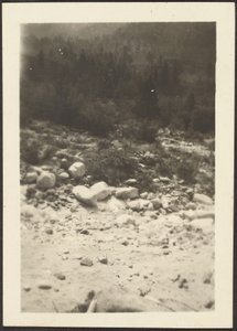 [Landschaft]