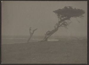 [Landschaft]