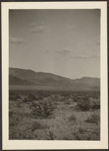 [Landschaft]