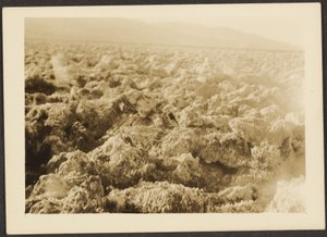 Landschaft
