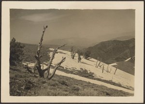 [Landschaft] von Louis Fleckenstein