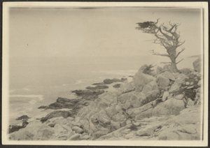 [Landschaft] von Louis Fleckenstein