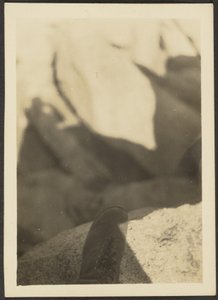 Schuh auf Felsen