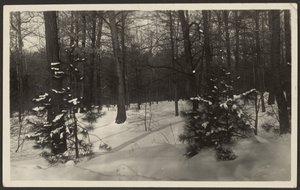 Verschneite Landschaft