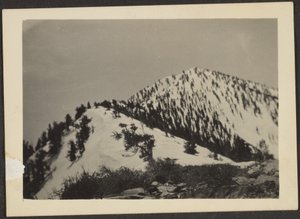 [Telescope Peak]