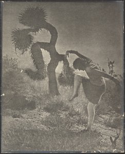 Der tölpelhafte Joshua von Louis Fleckenstein