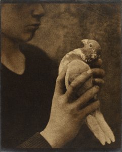 Der müde Bote von Louis Fleckenstein