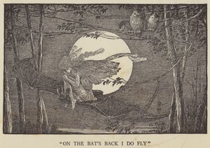 Auf dem Rücken der Fledermaus fliege ich von Louis John Rhead