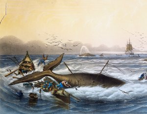 Walfang in den Südmeeren, Farblithographie von Louis Lebreton (gestorben 1866)