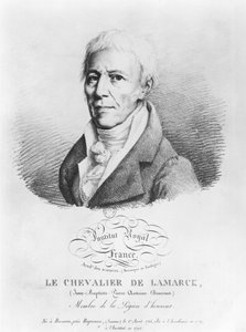 Porträt von Jean-Baptiste de Monet (1744-1829) Chevalier de Lamarck, aus 